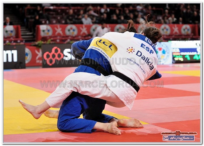 Grand Slam Paris 2013 Judo